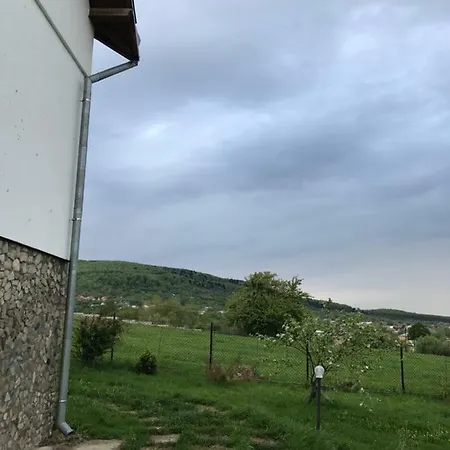 У Марти