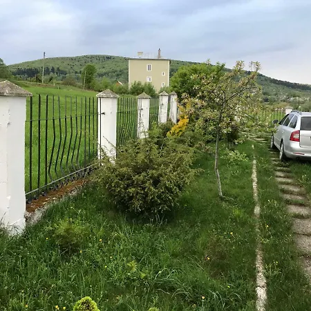 У Марти