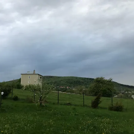 У Марти Gasthuis